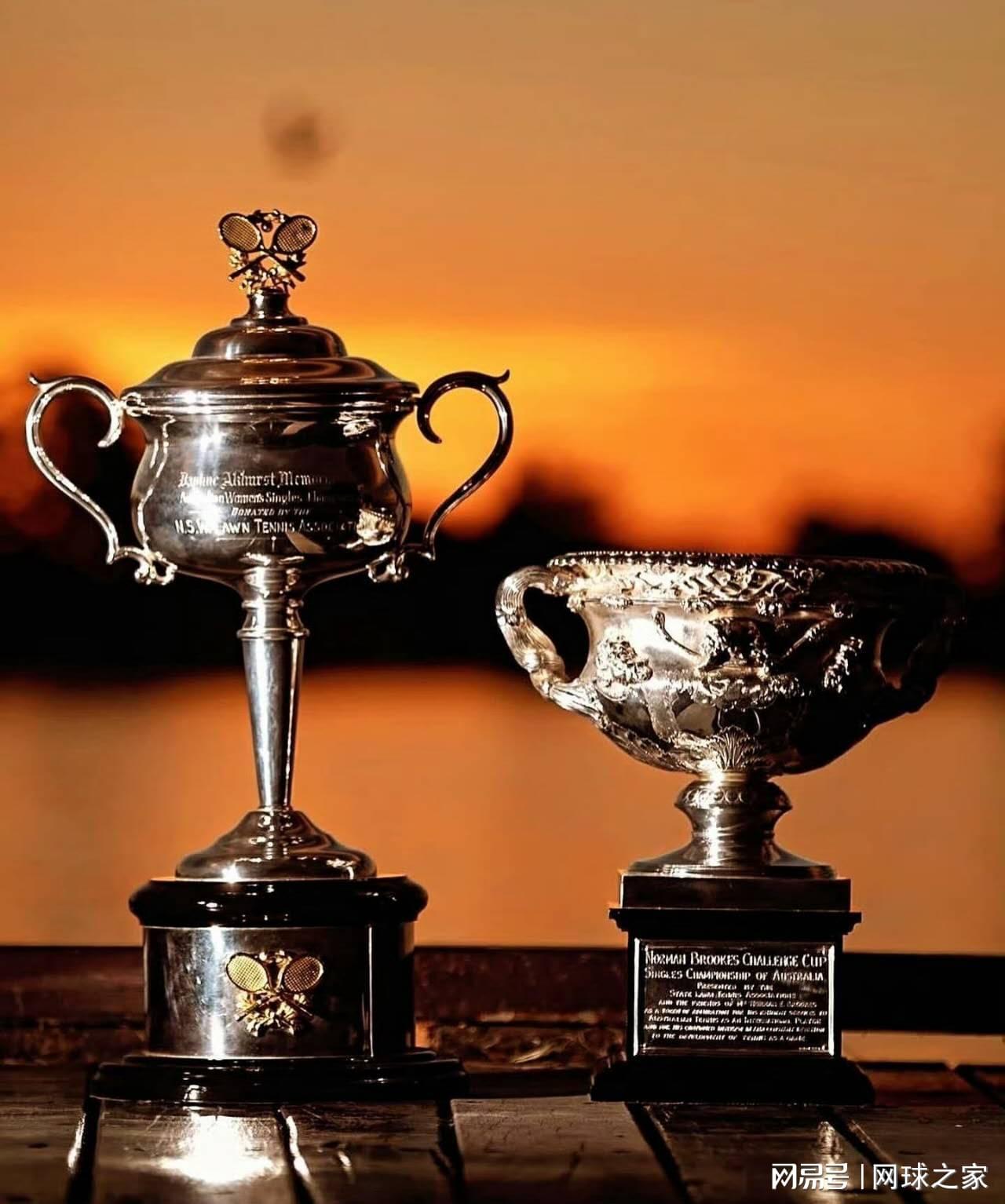 开云下载-德约轻取蒂亚福打破伤退谣言,辛纳、萨巴领衔澳网男女单夺冠赔率